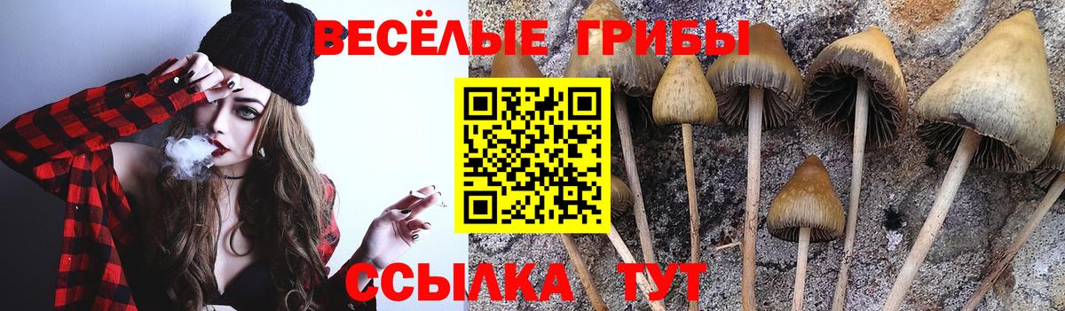 Псилоцибиновые грибы Psilocybe Мелеуз