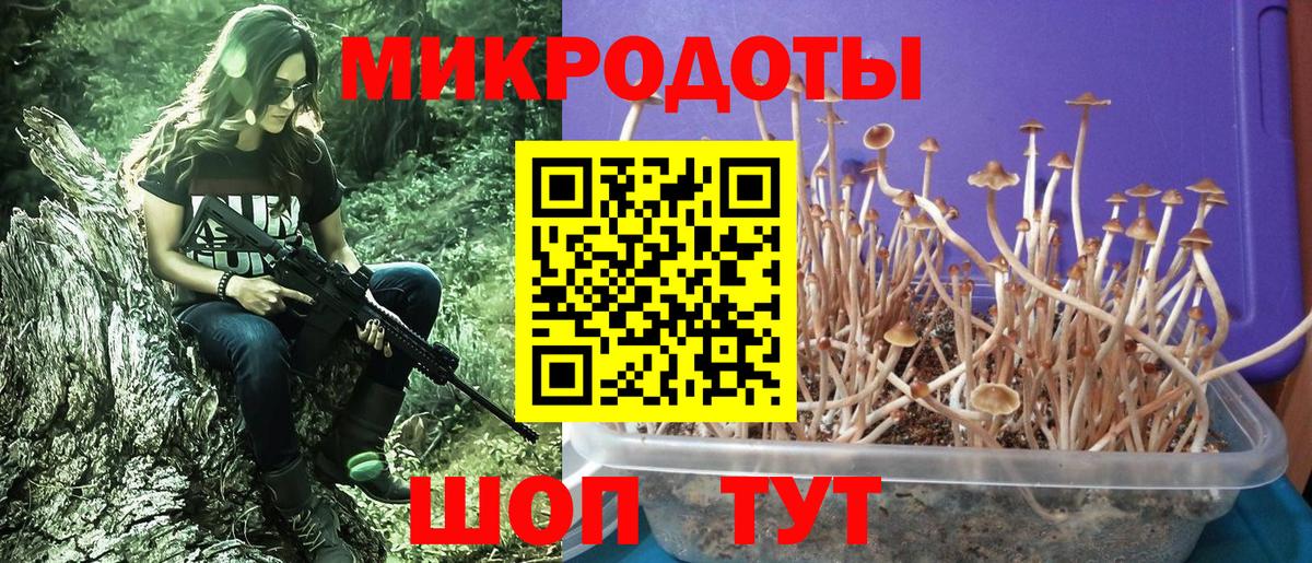 где продают   Вход с VPN  Мелеуз  Галлюциногенные грибы MAGIC MUSHROOMS 